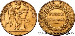 LA CONVENTION Essai pour le type conventionnel, module de 31 mm 1793 Paris