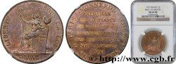 REVOLUTION COINAGE Monneron de 2 sols à la Liberté 1791 Birmingham, Soho