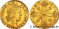 LOUIS XIV LE GRAND OU LE ROI SOLEIL Louis d’or aux huit L, portrait à la mèche longue 1651 Arras