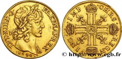 LOUIS XIII LE JUSTE Double louis d or aux huit L (effigie de Jean Warin) 1640 Paris, Monnaie du Louvre