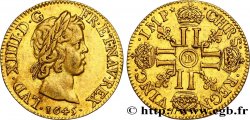 LOUIS XIV  THE SUN KING  Louis d or aux huit L, portrait à la mèche courte 1645 Lyon XF/AU