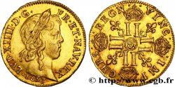 LOUIS XIV  THE SUN KING  Louis d’or aux huit L, portrait à la mèche longue 1653 Aix-en-Provence AU/AU