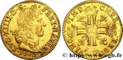LOUIS XIV  THE SUN KING  Louis d or aux huit L, portrait apollinien 1662 Bayonne XF
