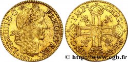 LOUIS XIV  THE SUN KING  Louis d or aux huit L, portrait apollinien 1667 Paris XF/AU