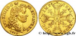LOUIS XIV  THE SUN KING  Louis d or aux huit L, portrait à la tête nue 1669 Paris VF