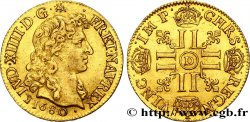 LOUIS XIV THE SUN KING Louis d or juvénile à la tête nue 1680 Lyon