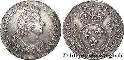 LOUIS XIV LE GRAND OU LE ROI SOLEIL Écu aux palmes 1694 Rennes
