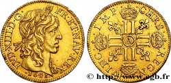 LOUIS XIII  Louis d or aux huit L (effigie de Jean Warin) 1641 Paris, Monnaie du Louvre AU