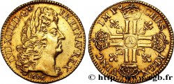 LOUIS XIV  THE SUN KING  Louis d’or aux huit L, portrait à la tête âgée et laurée 1686 Paris AU/XF