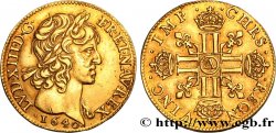 LOUIS XIII LE JUSTE Louis d or aux huit L (effigie de Jean Warin) 1640 Paris, Monnaie du Louvre