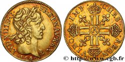 LOUIS XIII LE JUSTE Louis d or aux huit L (effigie de Jean Warin) 1640 Paris, Monnaie du Louvre