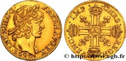 LOUIS XIII LE JUSTE Demi-louis d or aux huit L (effigie de Jean Warin) 1640 Paris, Monnaie du Louvre