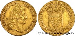 LOUIS XIV THE SUN KING Demi-louis d or à l écu 1691 Paris