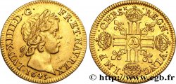 LOUIS XIV  THE SUN KING  Louis d or aux huit L, portrait à la mèche courte 1643 Paris, Monnaie du Louvre AU/AU