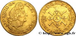 LOUIS XIV  THE SUN KING  Louis d or aux quatre L 1694 Paris VF/XF