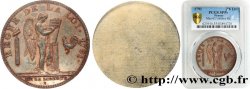 LOUIS XVI Épreuve uniface en étain de Droz pour le revers l’écu “dit constitutionnel” 1791  AU55