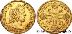 LOUIS XIV  THE SUN KING  Louis d or aux huit L, portrait à la mèche courte 1644 Paris, Monnaie du Louvre AU/AU