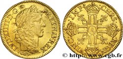 LOUIS XIV  THE SUN KING  Louis d or aux huit L, portrait apollinien 1667 Paris AU
