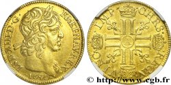 LOUIS XIII LE JUSTE Double louis d or aux huit L (effigie de Jean Warin) 1640 Paris, Monnaie du Louvre