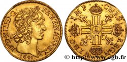 LOUIS XIII LE JUSTE Louis d or aux huit L (effigie de Jean Warin) 1641 Paris, Monnaie du Louvre