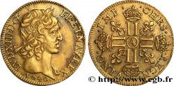 LOUIS XIII LE JUSTE Louis d or aux huit L (effigie de Jean Warin) 1640 Paris, Monnaie du Louvre