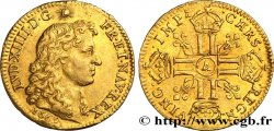 LOUIS XIV LE GRAND OU LE ROI SOLEIL Louis d or juvénile tête nue 1669 Paris