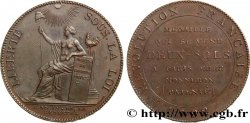 REVOLUTION COINAGE / CONFIANCE (MONNAIES DE…) Monneron de 2 sols à la Liberté 1792 Birmingham, Soho