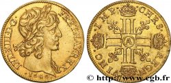 LOUIS XIII LE JUSTE Double louis d or aux huit L (effigie de Jean Warin) 1640 Paris, Monnaie du Louvre
