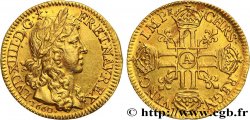 LOUIS XIV LE GRAND OU LE ROI SOLEIL Louis d or aux huit L, portrait apollinien 1660 Paris SPL