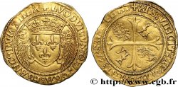 LOUIS XII Écu d or aux porcs-épics 19/11/1507 Montpellier