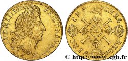 LOUIS XIV  THE SUN KING  Louis d or aux quatre L n.d. Paris VF/XF
