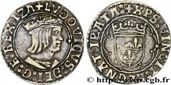 LOUIS XII, FATHER OF THE PEOPLE Demi-teston n.d. Tours
