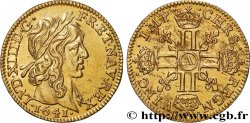 LOUIS XIII  Demi-louis d or aux huit L (effigie de Jean Warin) 1641 Paris AU