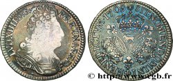 LOUIS XIV  THE SUN KING  Demi-écu aux trois couronnes 1709 Pau VF/XF