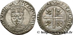 LOUIS XII LE PÈRE DU PEUPLE Douzain au porc-épic 19/11/1507 Bourges TTB