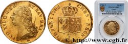 LOUIS XVI Double louis d’or aux écus accolés 1786 Nantes