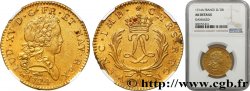 LOUIS XV DIT LE BIEN AIMÉ Double louis d’or aux deux L entrelacées et aux palmes 1724 Paris SUP
