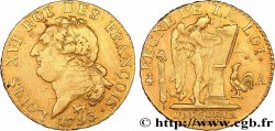 LOUIS XVI (MONARQUE CONSTITUTIONNEL) Louis d’or au génie 1793 Paris