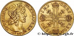LOUIS XIII LE JUSTE Double louis d or aux huit L (effigie de Jean Warin) 1640 Paris, Monnaie du Louvre