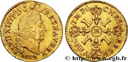LOUIS XIV  THE SUN KING  Demi-louis d or aux quatre L 1693 La Rochelle AU/AU