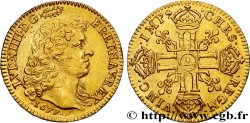 LOUIS XIV  THE SUN KING  Louis d’or aux huit L, portrait à la tête nue 1677 Paris AU
