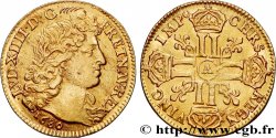LOUIS XIV  THE SUN KING  Louis d’or aux huit L, portrait à la tête nue 1680 Paris AU