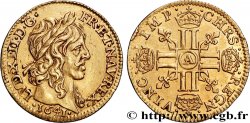 LOUIS XIII  Demi-louis d or aux huit L (effigie de Jean Warin) 1641 Paris AU/AU