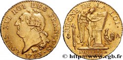 LOUIS XVI (MONARQUE CONSTITUTIONNEL) Louis d’or au génie 1793 Paris