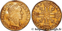 LOUIS XIII LE JUSTE Demi-louis d or aux huit L (effigie de Jean Warin) 1642 Paris, Monnaie du Louvre