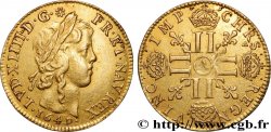 LOUIS XIV THE SUN KING Louis d’or aux huit L, portrait à la mèche longue 1649 Paris