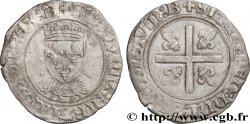 LOUIS XII LE PÈRE DU PEUPLE Douzain au porc-épic 19/11/1507 Bourges