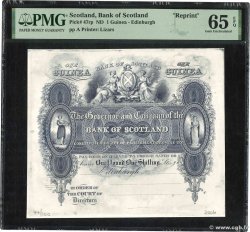 1 Guinea SCOTLAND  2006 P.(47) FDC