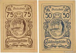 50 et 75 Heller Lot AUTRICHE Schenkenfelden 1918  SUP