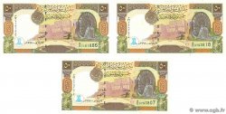 50 Pounds Lot SYRIA  1998 P.107 UNC-